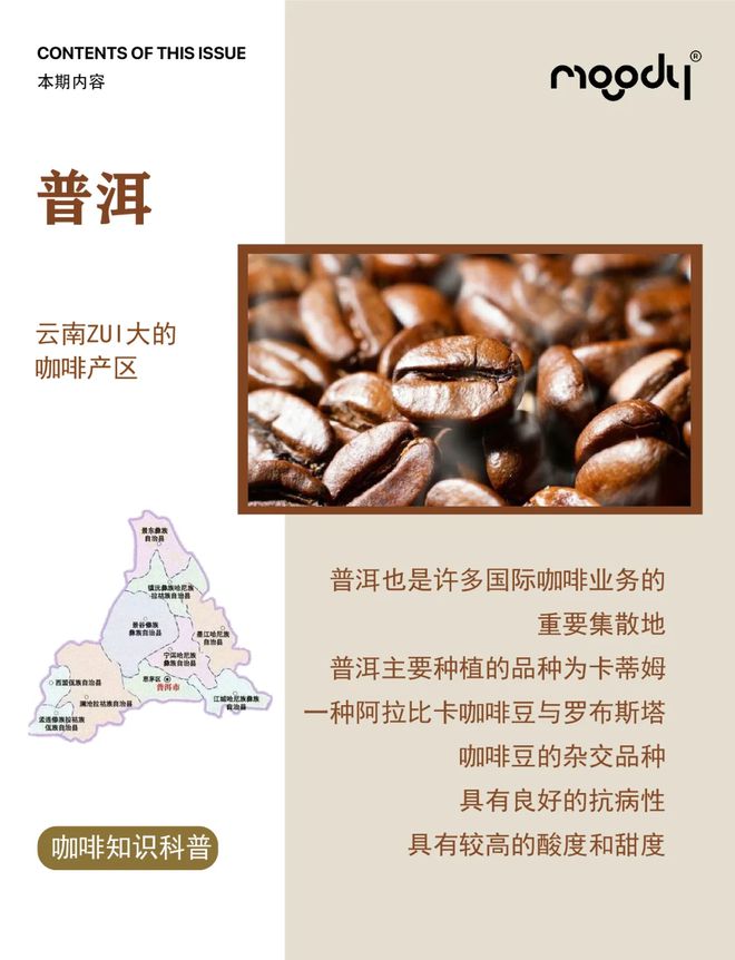 彩云之南的馥郁传奇AG真人云南咖啡：(图10)