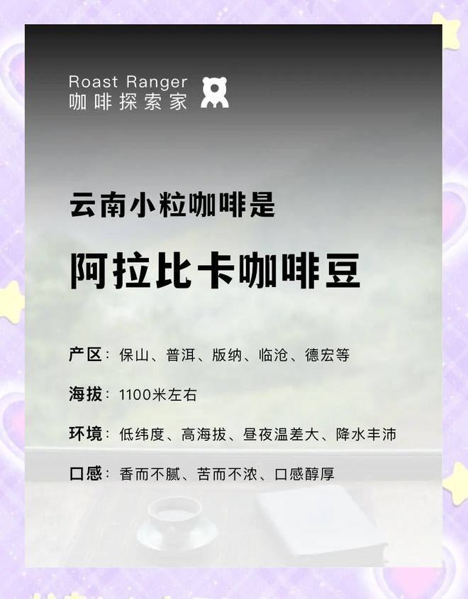 彩云之南的馥郁传奇AG真人云南咖啡：(图12)