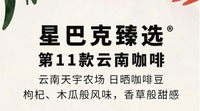 彩云之南的馥郁传奇AG真人云南咖啡：(图15)